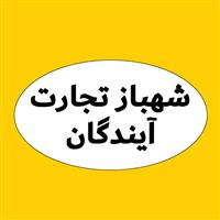 لوگوی شرکت شهباز تجارت آیندگان - ترخیص کالا و امور گمرکی