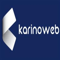 لوگوی شرکت کارینو وب - طراحی وب سایت