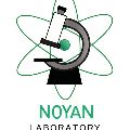 لوگوی آزمایشگاه نویان - آزمایشگاه تشخیص طبی