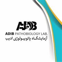 لوگوی آزمایشگاه ادیب - آزمایشگاه پاتوبیولوژی