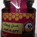 لوگوی پیچک - فروش عسل