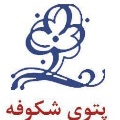 لوگوی شکوفه - تولید پتو