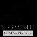 لوگوی نرمینه گستر نطنز - دستمال کاغذی