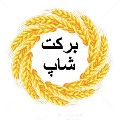 لوگوی برکت شاپ - فروشگاه اینترنتی