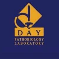 لوگوی آزمایشگاه دی - کرج - آزمایشگاه پاتوبیولوژی