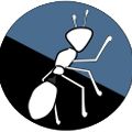 لوگوی رز دکو - کاغذ دیواری