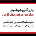 لوگوی هوشیار - ام دی اف