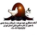 لوگوی بسته بندی تک رنگ - خدمات بسته بندی