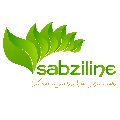 لوگوی فروشگاه اینترنتی سبزی لاین