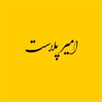 لوگوی امیر پلاست - تولید نایلون و نایلکس