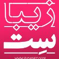 لوگوی دکوراسیون زیباست - دکوراسیون داخلی ساختمان
