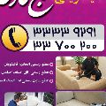 لوگوی قالیشویی خلیج فارس