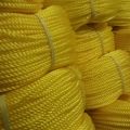 لوگوی طناب متین - نخ و طناب پلاستیکی