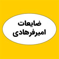 ضایعات امیر فرهادی