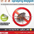لوگوی سمپاشی بایگون