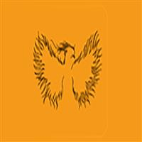 لوگوی روشنایی مهرآفرین پارس - تجهیزات نورپردازی و روشنایی