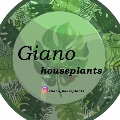 لوگوی گلخانه گیانو - گل فروشی