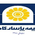 لوگوی بیمه پاسارگاد - بیک محمدی - نمایندگی بیمه