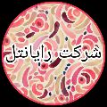 لوگوی شرکت رایانتل - خدمات کامپیوتر