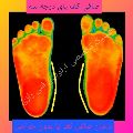لوگوی کلینیک تخصصی ارتوپدی فنی رازی - کلینیک ارتوپدی