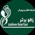 لوگوی شرکت تکثیر و پرورش زالو برتر - پرورش زالو