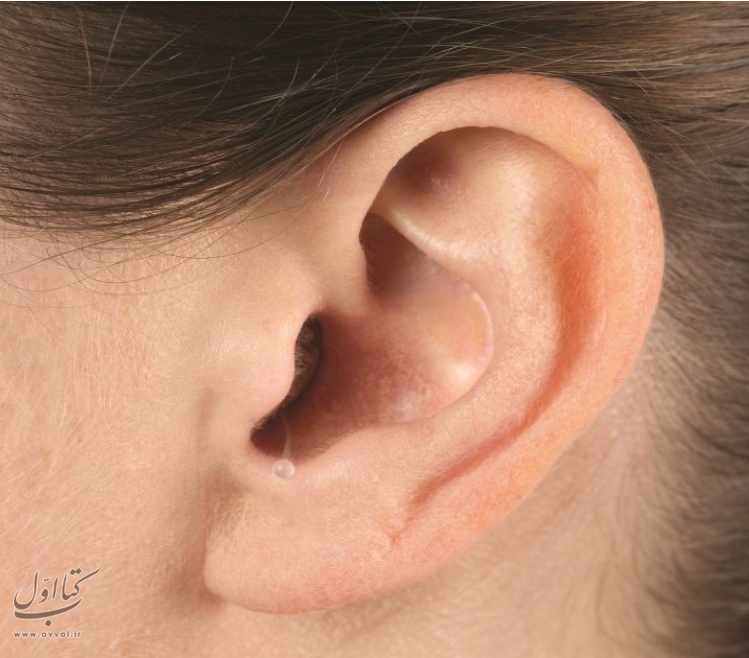 دفتر ارزیابی شنوایی و تجویز سمعک سانا - کلینیک شنوایی سنجی شماره 6