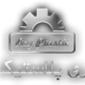 لوگوی گروه صنعتی ری پلاستیک - پلیمر پلاستیک