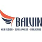 لوگوی شرکت طراحی سایت بالوین - طراحی وب سایت
