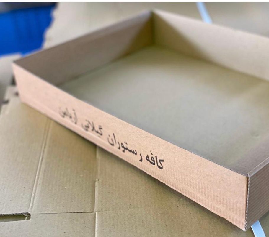 کارتن سازی پایا گستر ایرانیان - تولید کارتن مقوایی شماره 11