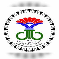 لوگوی آزمایشگاه پارس - اهواز - آزمایشگاه تشخیص طبی