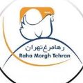 لوگوی رها تهران - تولید تخم مرغ