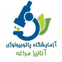 لوگوی آزمایشگاه آنالیز - مراغه - آزمایشگاه تشخیص طبی