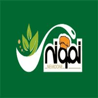 لوگوی آش سرای نمونه - حلیم پزی و آش