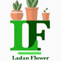 گل فروشی لادن فلاورز