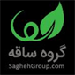 لوگوی گروه ساقه - طراحی وب سایت